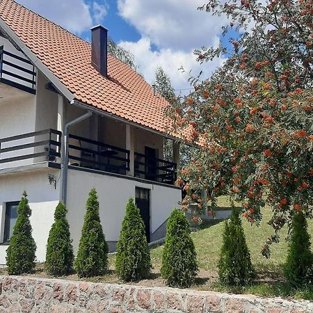 Villa Kuca Sa Pogledom Na Tornik Zlatibor Esterno foto